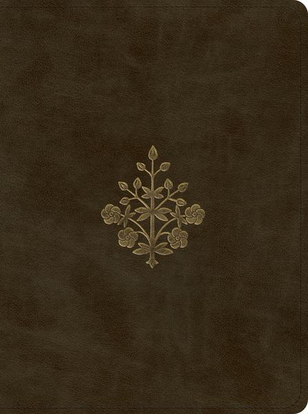 ESV Proverbs: Daily Wisdom (TruTone, Olive, Branch Design) cover image