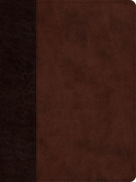ESV Proverbs: Daily Wisdom (TruTone, Brown/Walnut, Timeless Design) cover image