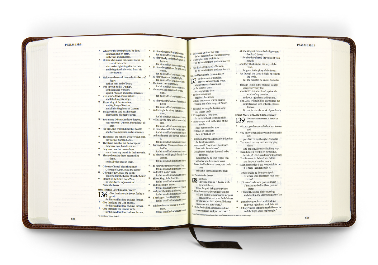 ESV Journaling Bible (Trutone, Brown/Tan, Timeless Design)