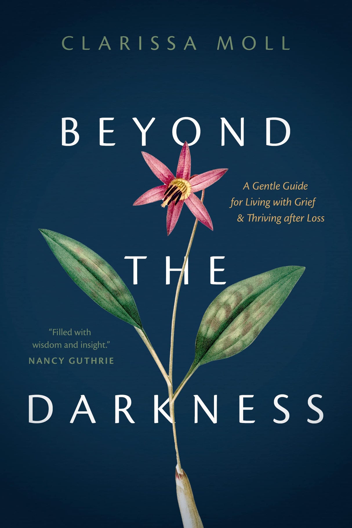 Beyond the Darkness: A Gentle Guide for Living with Grief and Thriving After Loss - Moll, Clarissa - 9781496458933