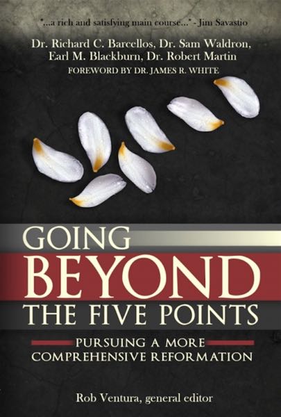 Going Beyond the Five Points: Pursuing a More Comprehensive Reformation Ventura, Rob cover image