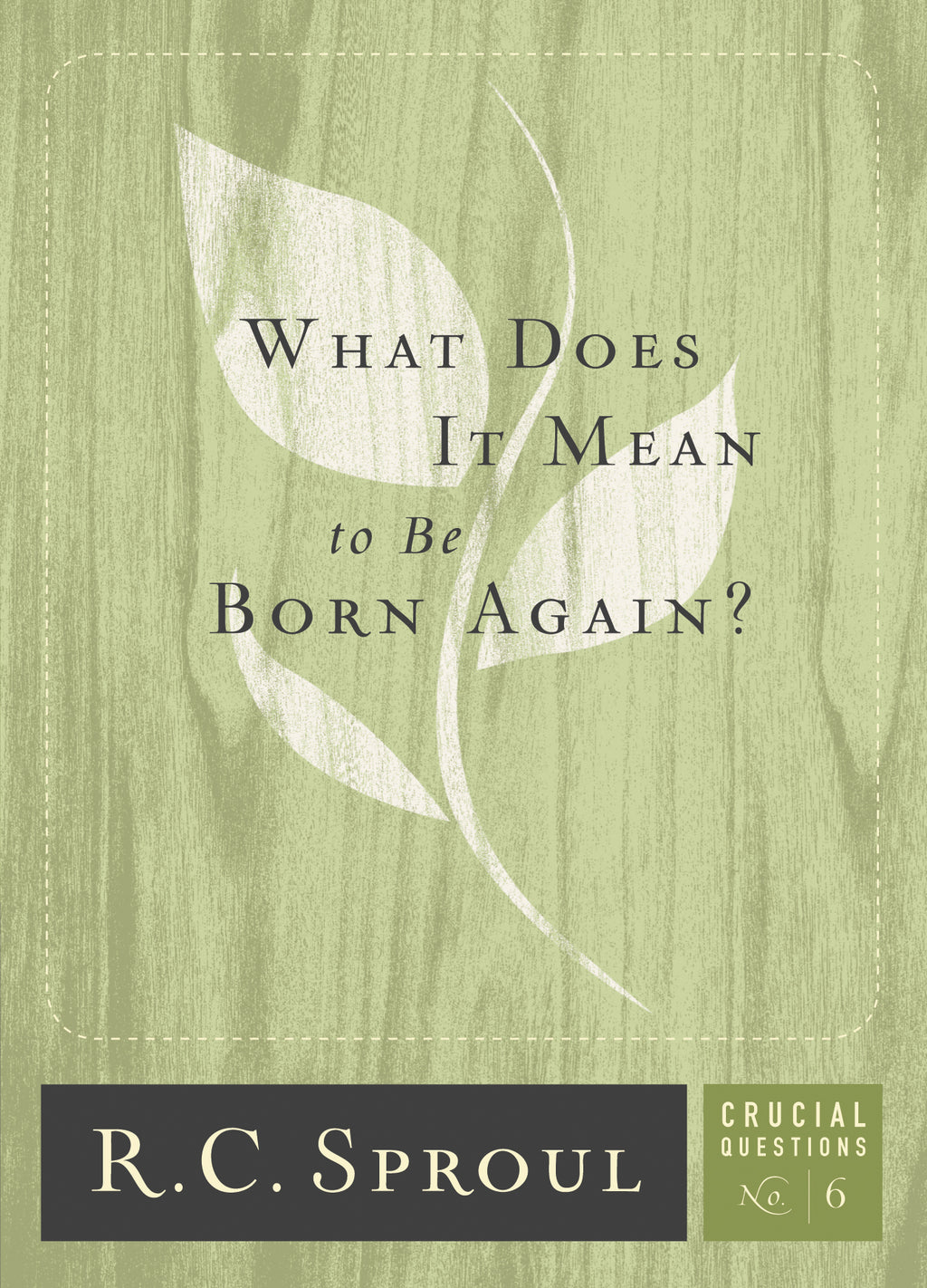 What Does It Mean to be Born Again? (Crucial Questions)