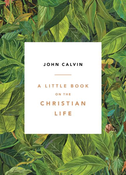 A Little Book on the Christian Life (Leaves) Calvin, John 9781567698169
