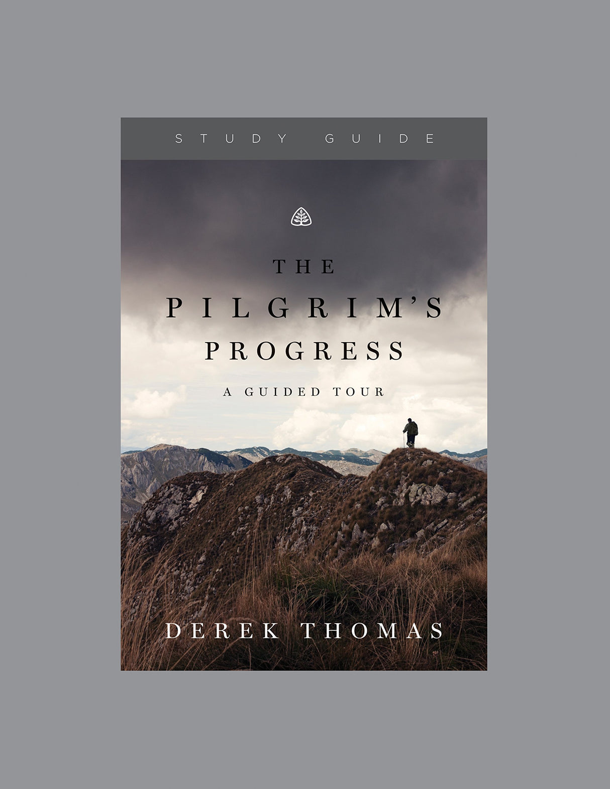 The Pilgrim's Progress: A Guided Tour Thomas, Derek 9781567698435 (1018324353071)
