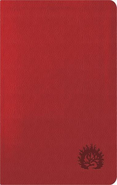 ESV Reformation Study Bible, Condensed Edition, 2017 (Imitation Leather, Red)
