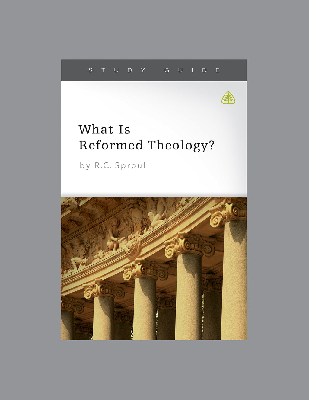 What Is Reformed Theology? Sproul, R.C. 9781567699067