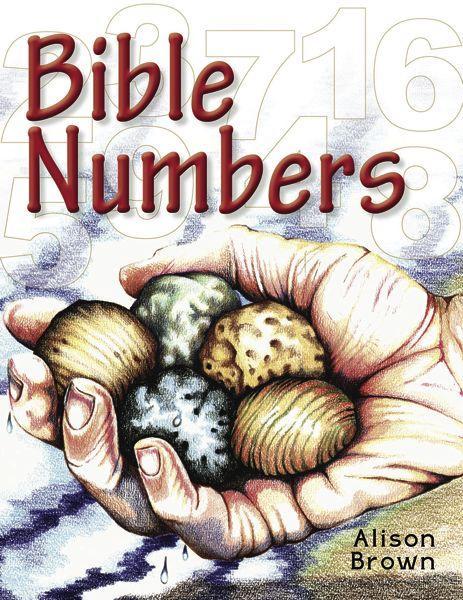 Bible Numbers: Introducing Little Children to Simple Bible Truths Brown, Alison cover image