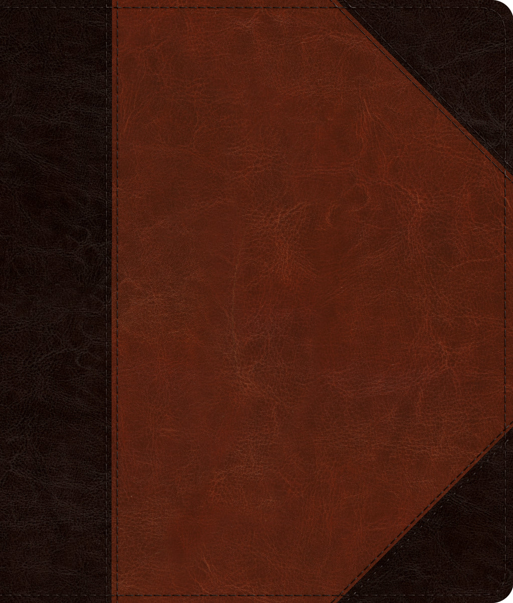 ESV Journaling Bible (TruTone, Brown/Cordovan, Portfolio Design)