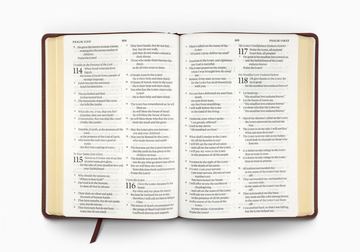 ESV Large Print Bible (Trutone, Deep Brown)
