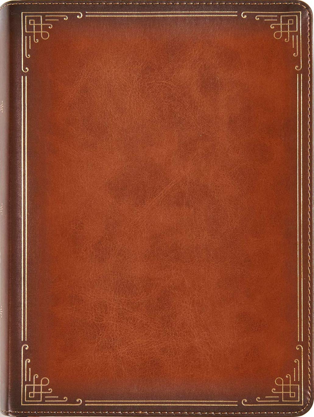 CSB Ancient Faith Study Bible, Tan Leathertouch, Indexed - Christian Standard Bible - 9781535940511