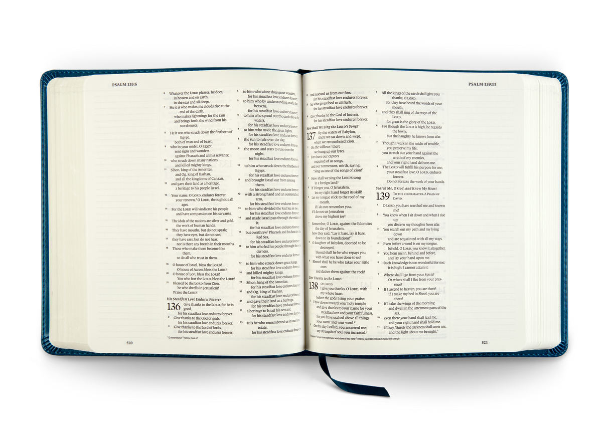 ESV Journaling Bible (Trutone, Deep Teal, Fleur-De-Lis Design)