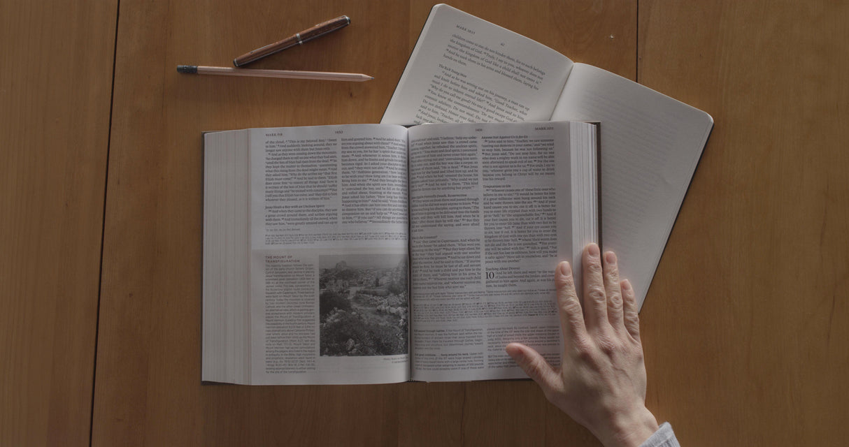 ESV Archaeology Study Bible (Hardcover)
