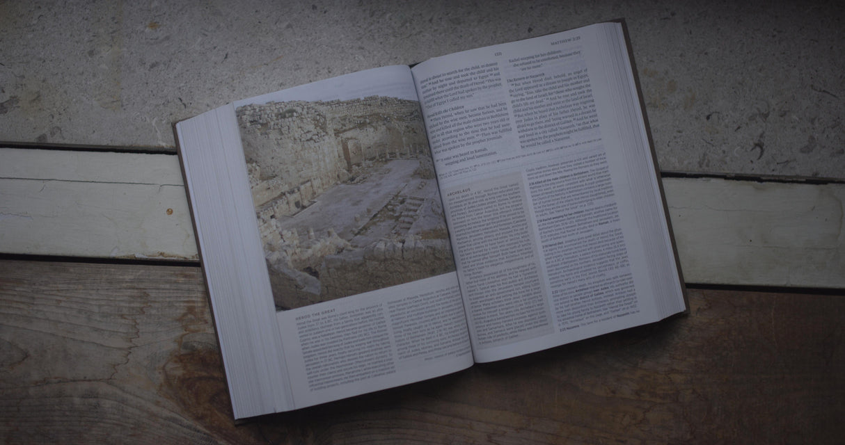 ESV Archaeology Study Bible (Hardcover)