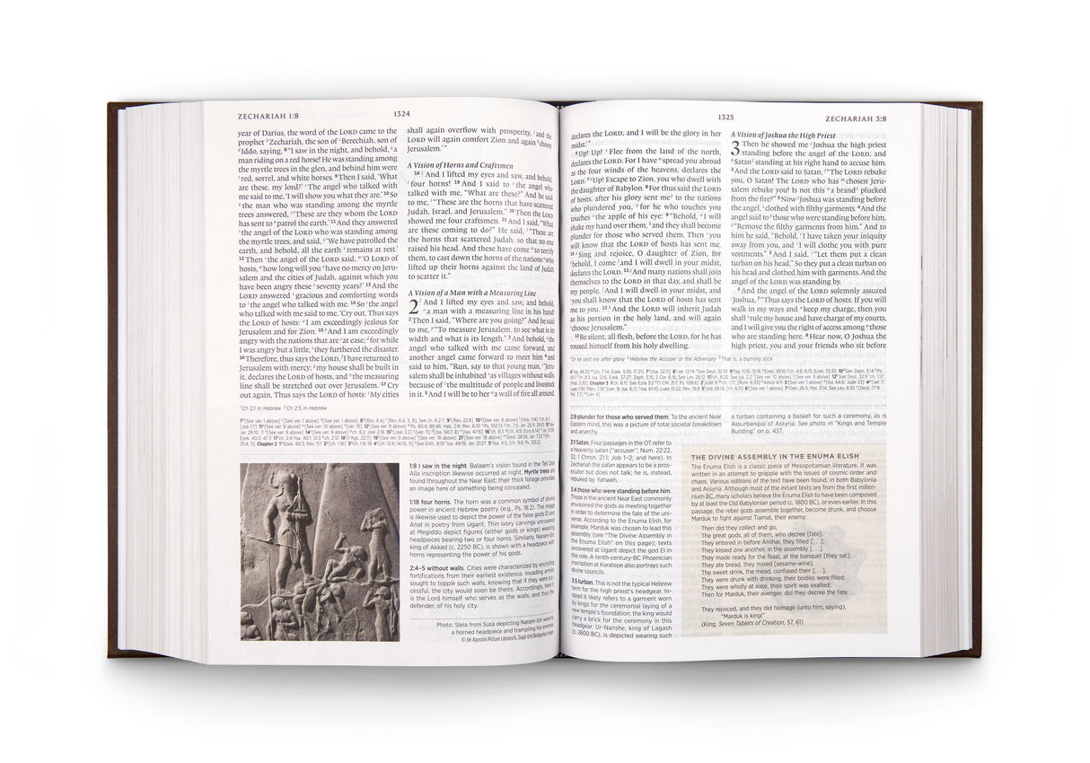 ESV Archaeology Study Bible (Hardcover)