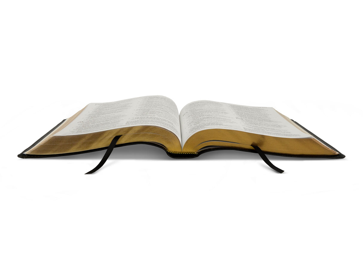ESV Bible with Creeds and Confessions (TruTone, Black)