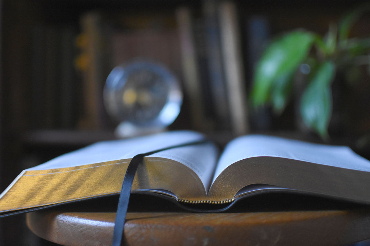 ESV Church History Study Bible (Black Leather)