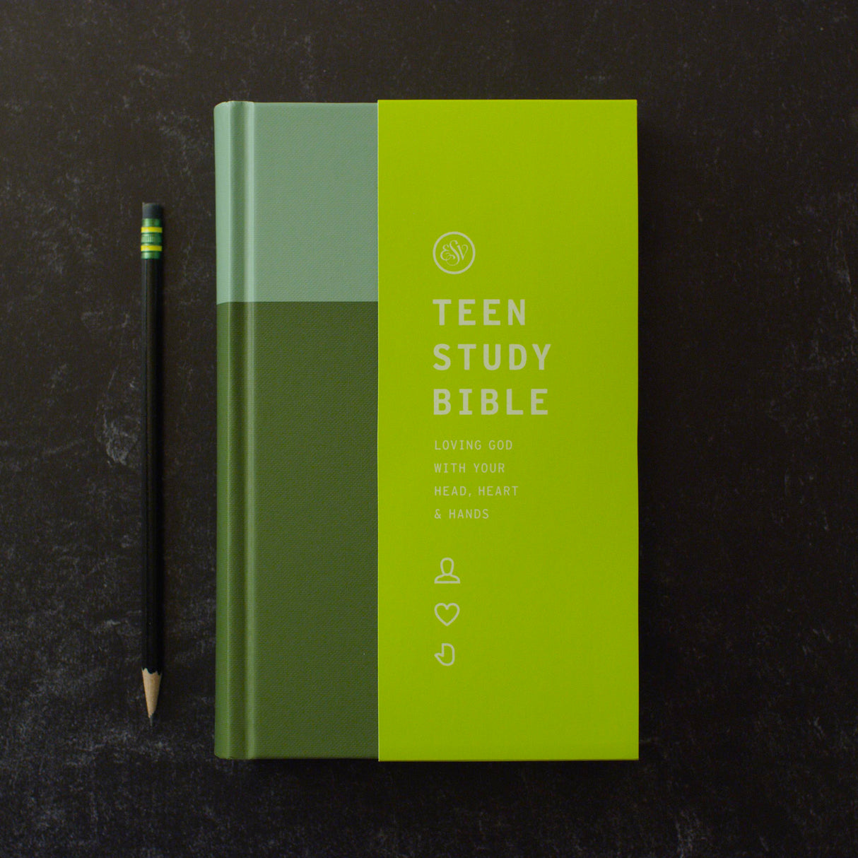 ESV Teen Study Bible (Hardcover, Wildwood)