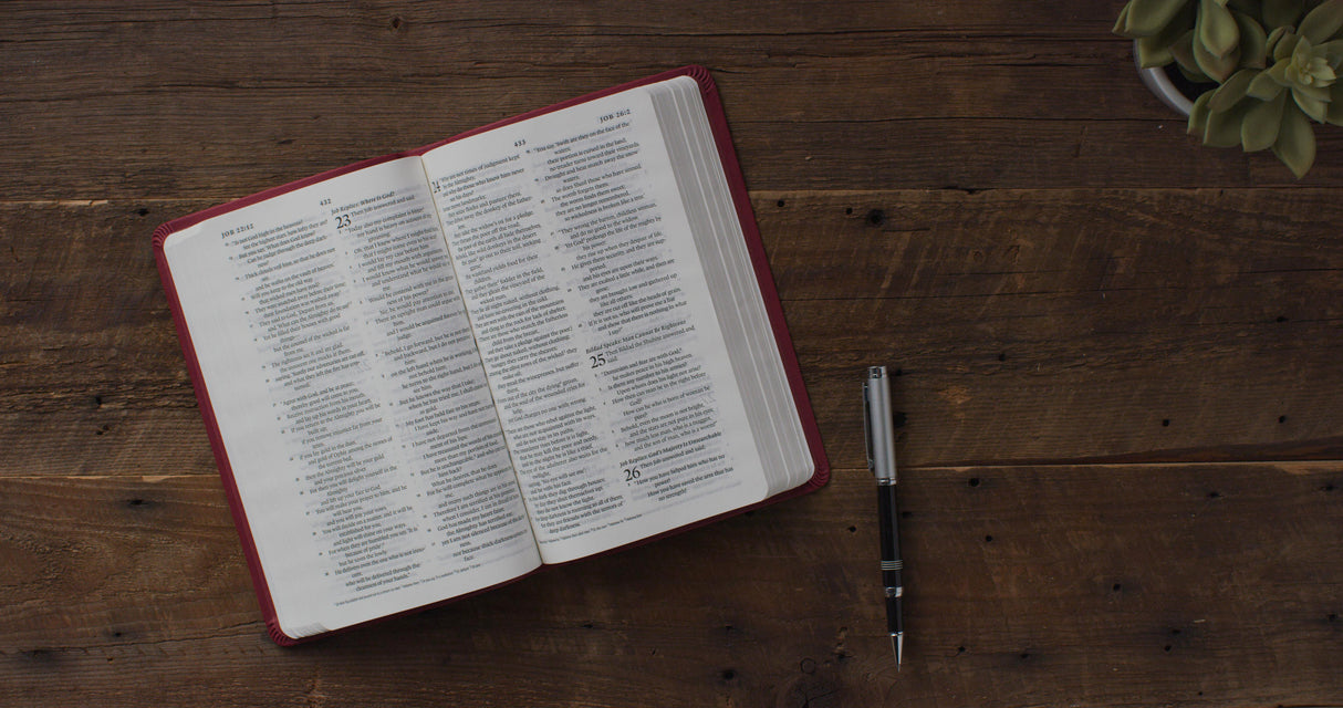 ESV Premium Gift Bible (Trutone, Raspberry, Emblem Design)