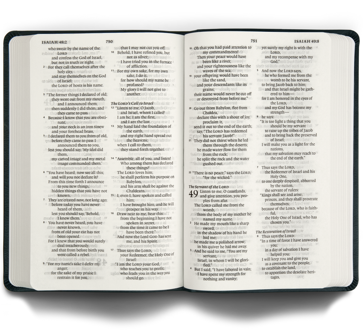 ESV Large Print Value Thinline Bible (Trutone, Camel)