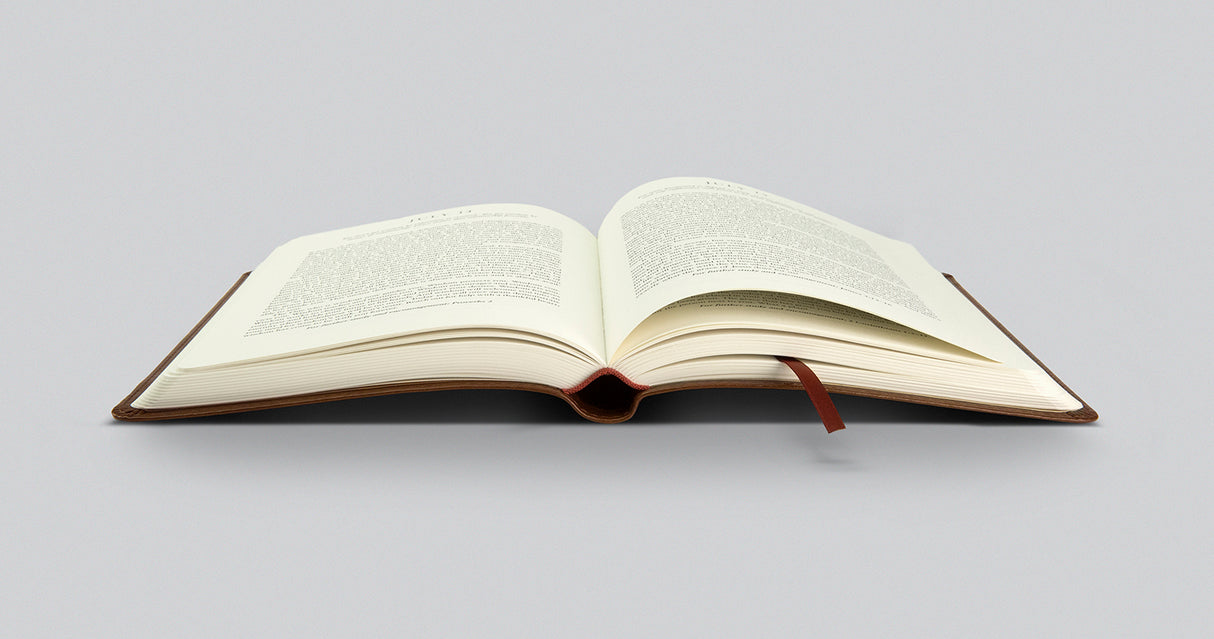 New Morning Mercies: A Daily Gospel Devotional (Trutone, Brown)