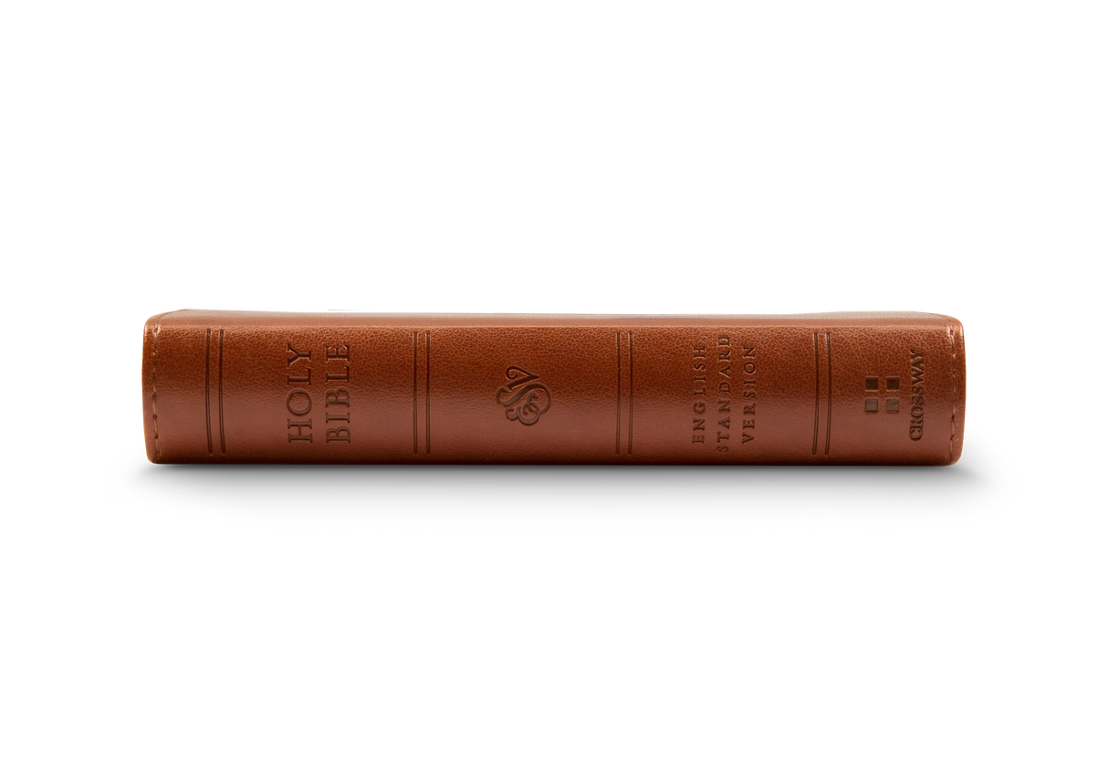 ESV Pocket Bible (Trutone, Chestnut)