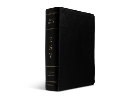 ESV Study Bible (Bonded Leather, Black) (1023653773359)
