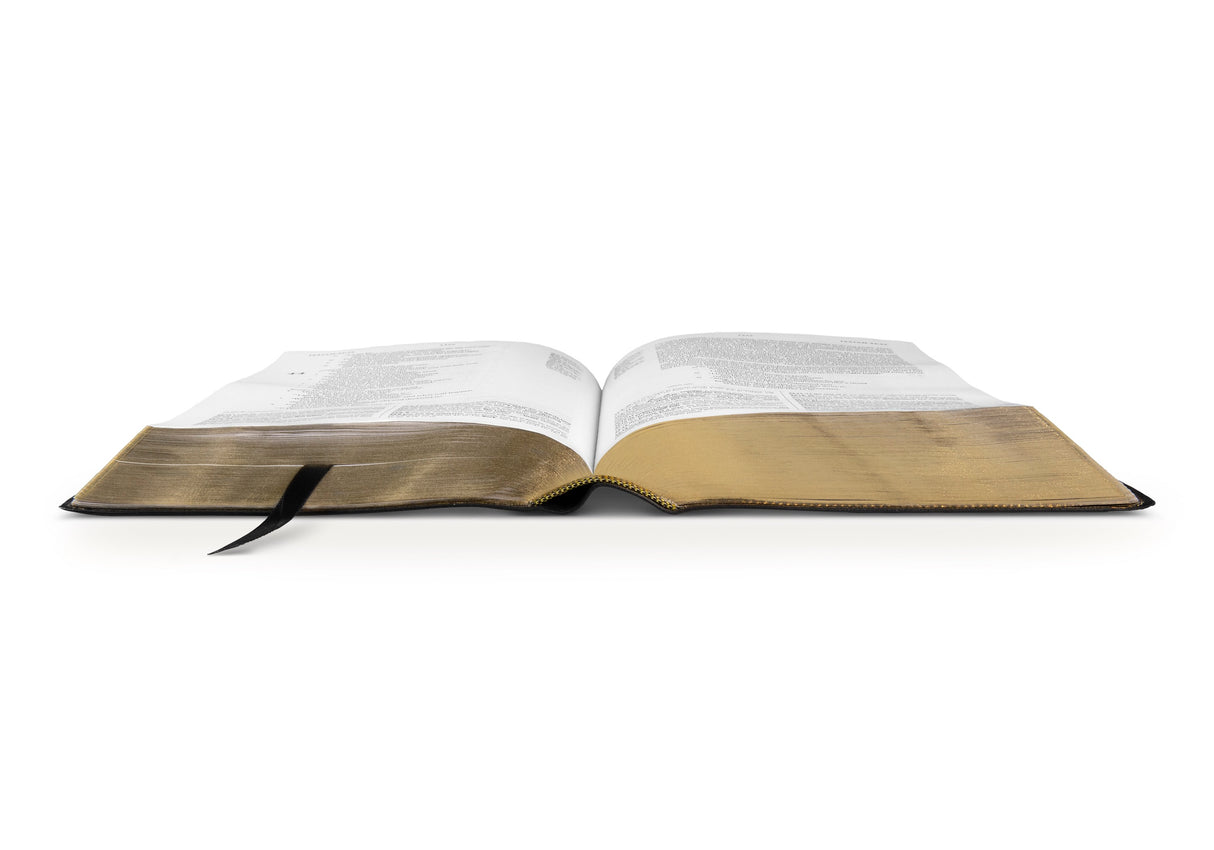 ESV Study Bible (Genuine Leather, Black) (1023686475823)