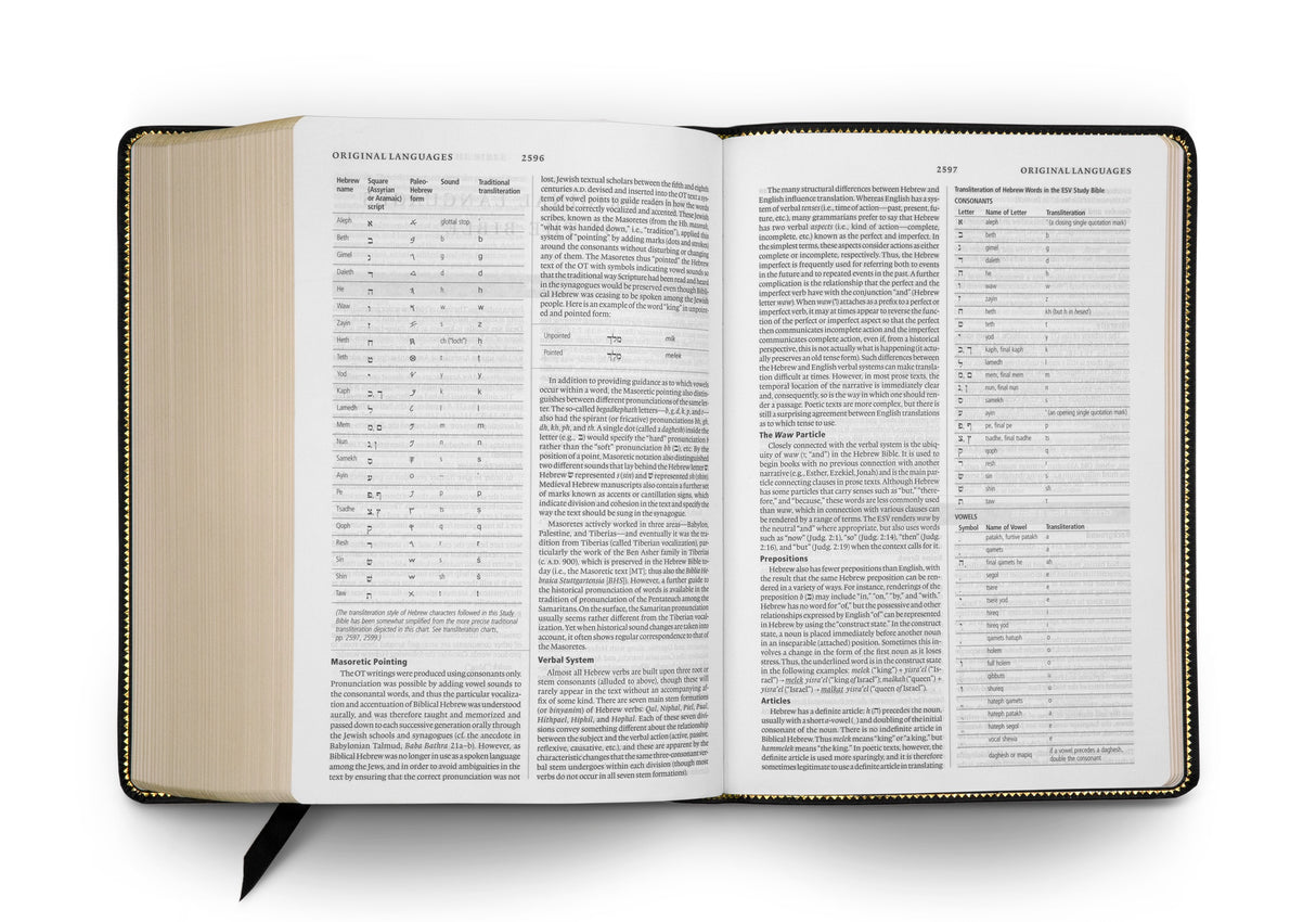 ESV Study Bible (Genuine Leather, Black) (1023686475823)