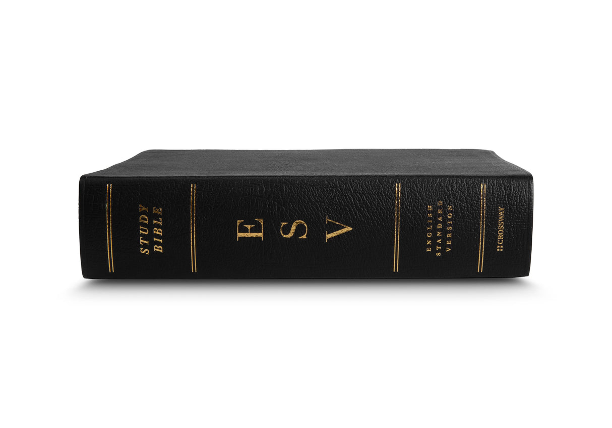 ESV Study Bible (Genuine Leather, Black) (1023686475823)