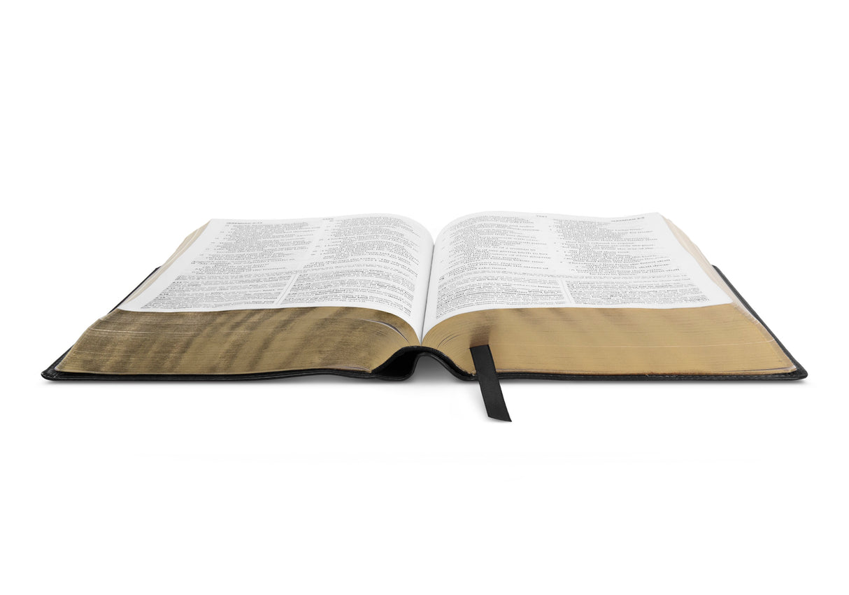 ESV Study Bible, Large Print (Trutone, Black)