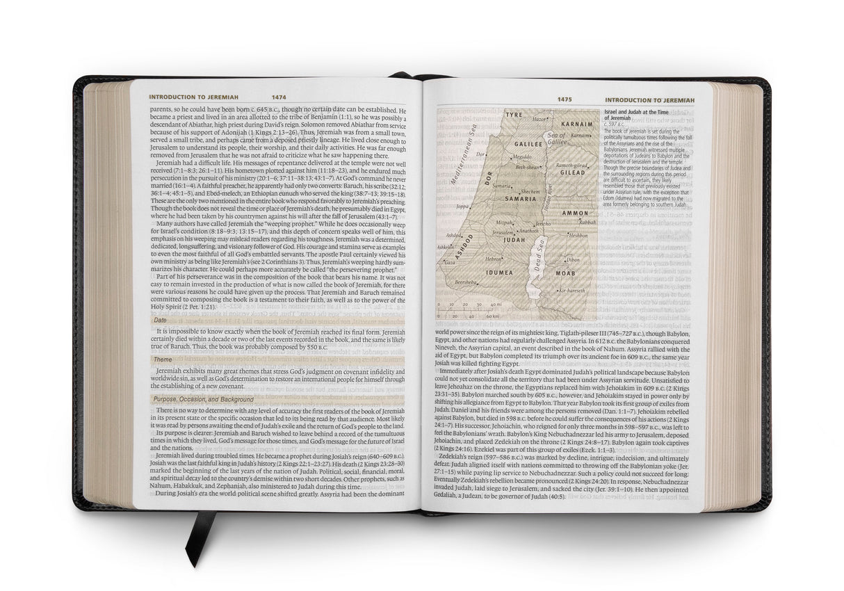 ESV Study Bible, Large Print (Trutone, Black)