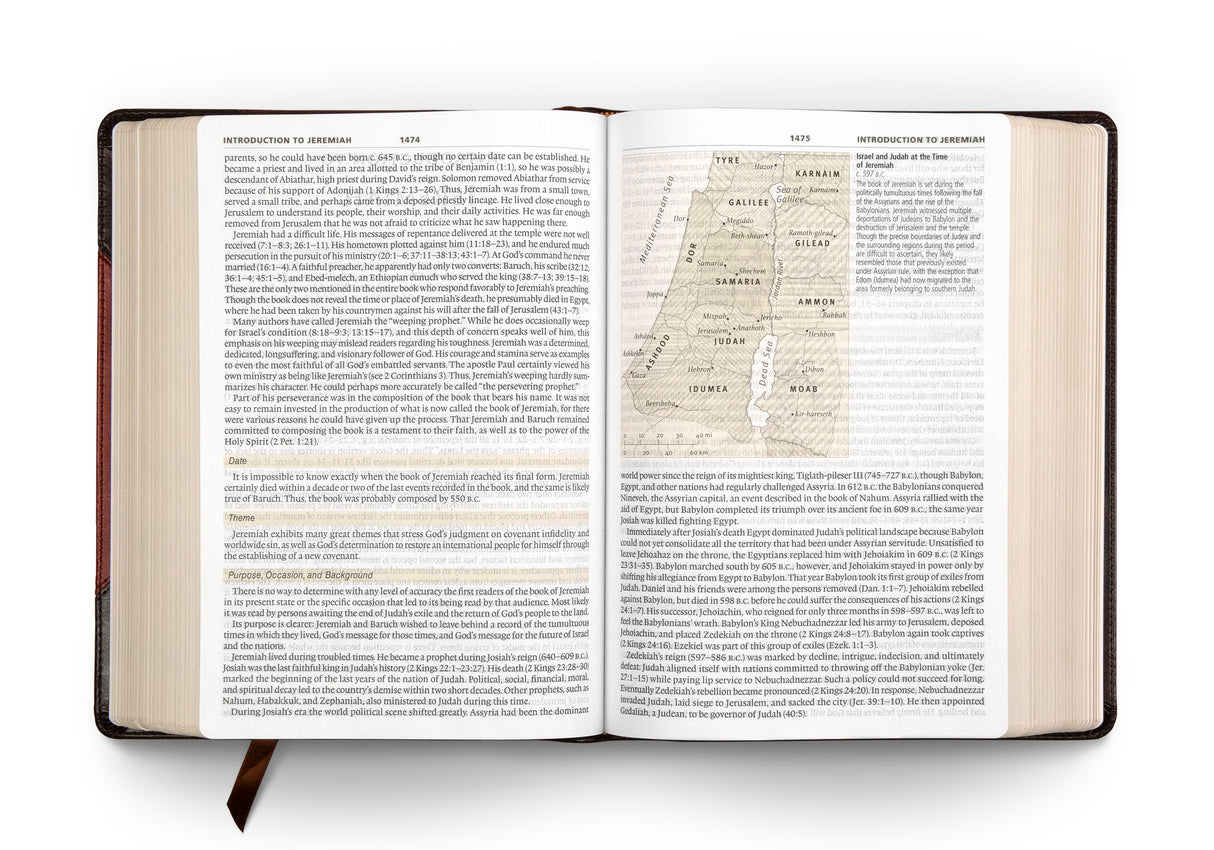 ESV Study Bible, Large Print (TruTone, Brown/Cordovan, Portfolio Design)