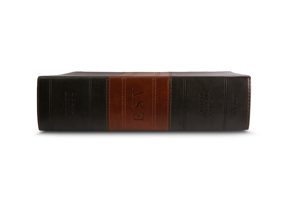 ESV Study Bible, Large Print (TruTone, Forest/Tan, Trail Design)