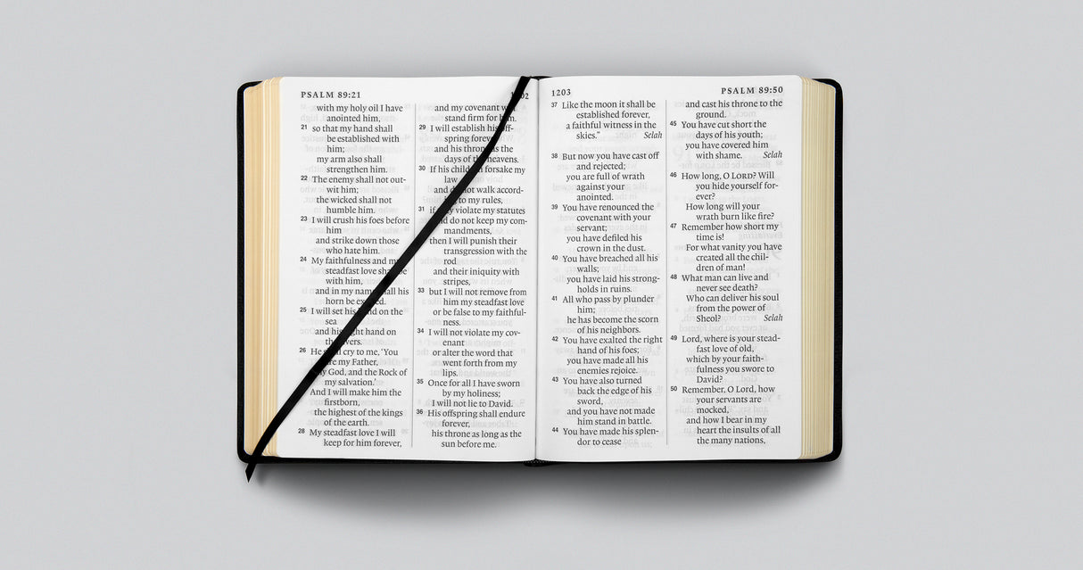 ESV Super Giant Print Bible (Genuine Leather, Black)