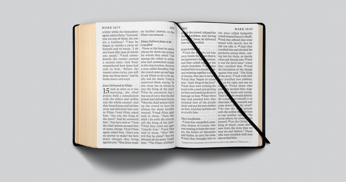 ESV Super Giant Print Bible (Genuine Leather, Black)