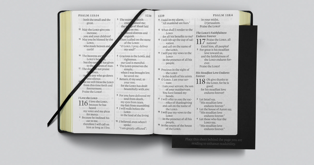 ESV Super Giant Print Bible (Genuine Leather, Black)