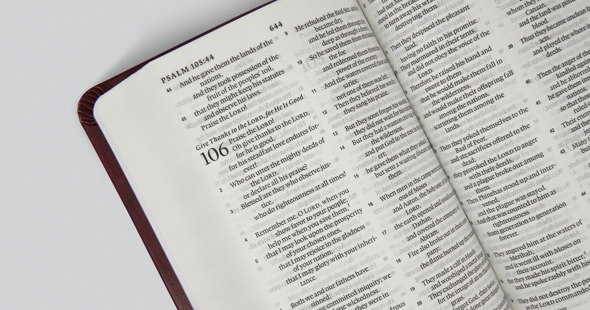 ESV Value Large Print Compact Bible (Trutone, Mahogany, Border Design)