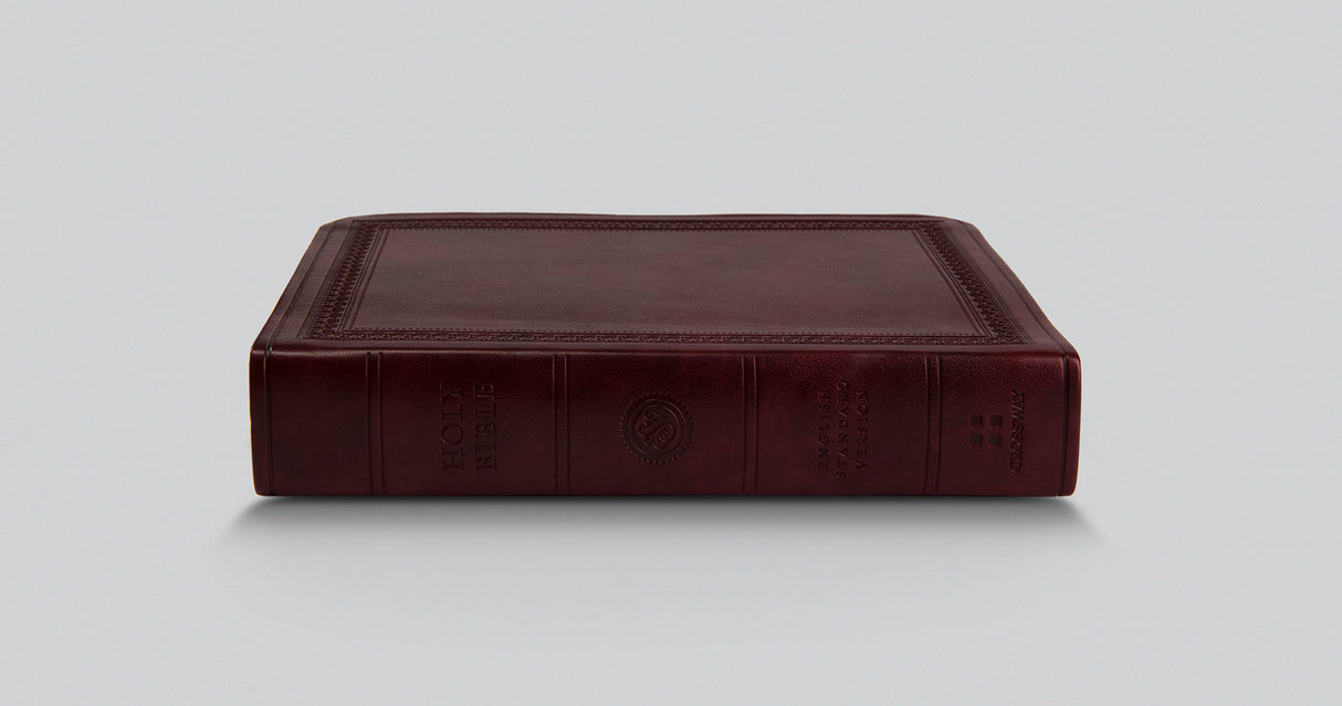 ESV Value Large Print Compact Bible (Trutone, Mahogany, Border Design)