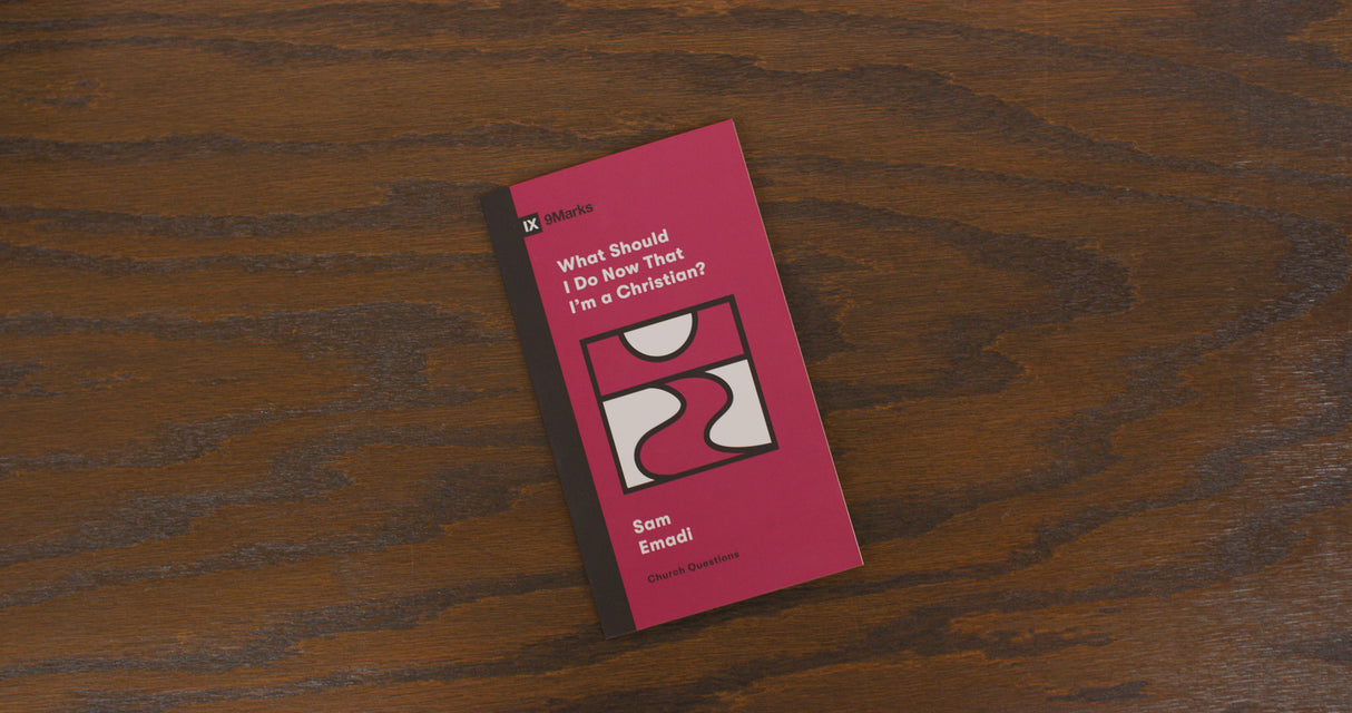 What Should I Do Now That I'm a Christian? (Church Questions)