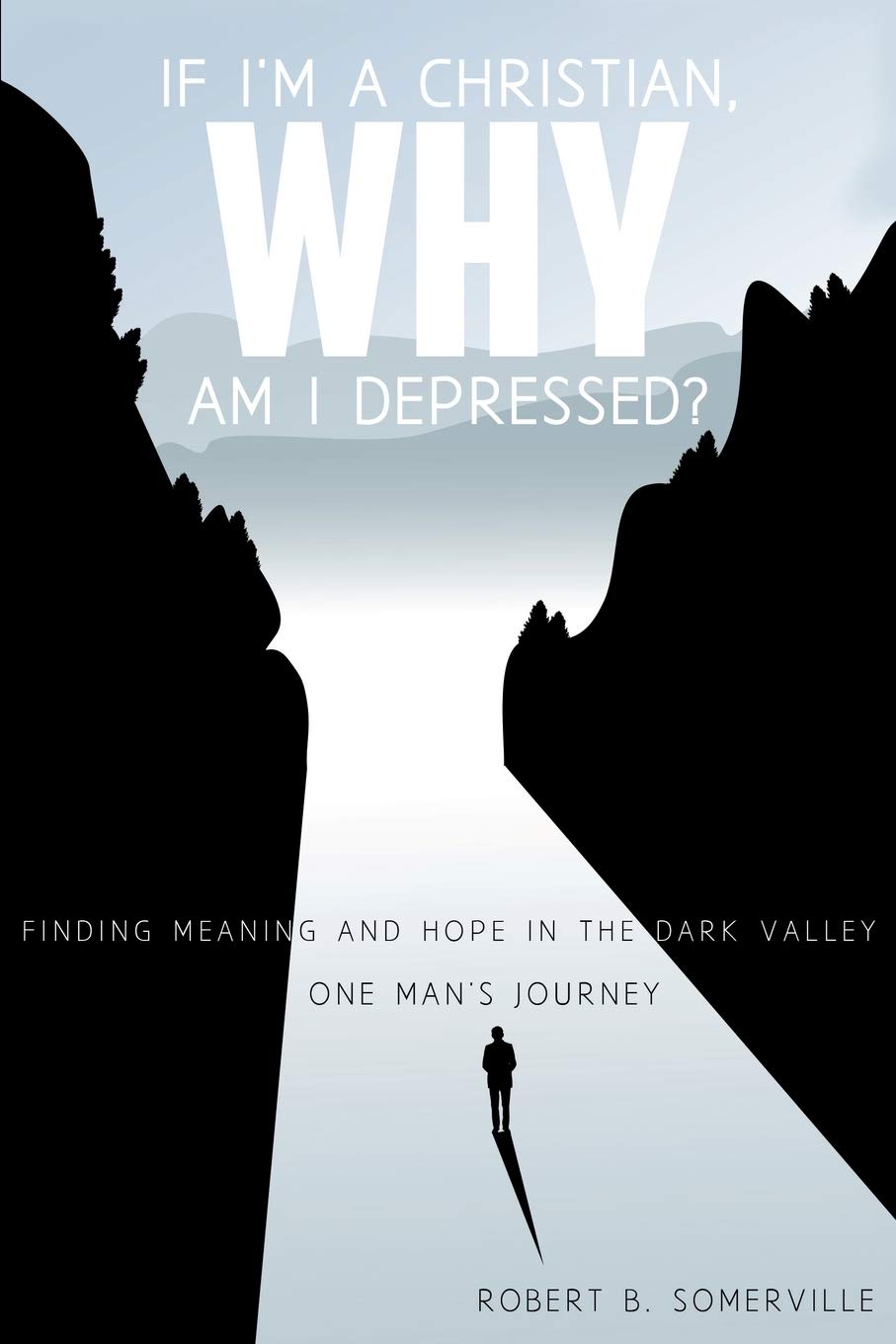 If I'm a Christian, Why Am I Depressed? - Somerville, Robert B - 9781498407779