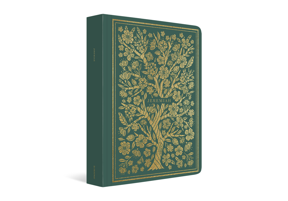 ESV Illuminated Scripture Journal: Jeremiah (Paperback)