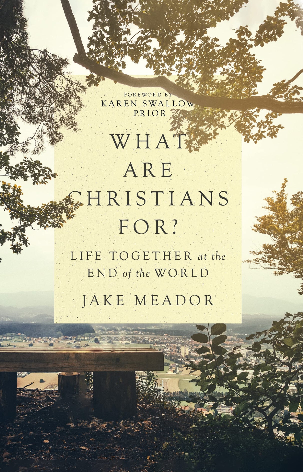 What Are Christians For?: Life Together at the End of the World - Meador, Jake; Prior, Karen Swallow (foreword by) - 9780830847365