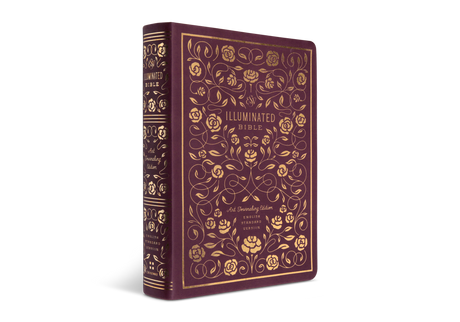 ESV Illuminated Bible, Art Journaling Edition (TruTone, Burgundy)