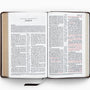 ESV Reference Bible (TruTone, Coffee) (1023774818351)