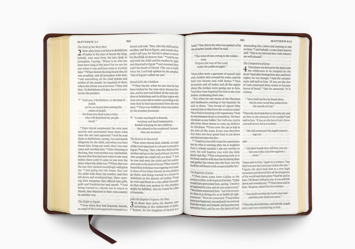 ESV Large Print Bible (Trutone, Deep Brown)
