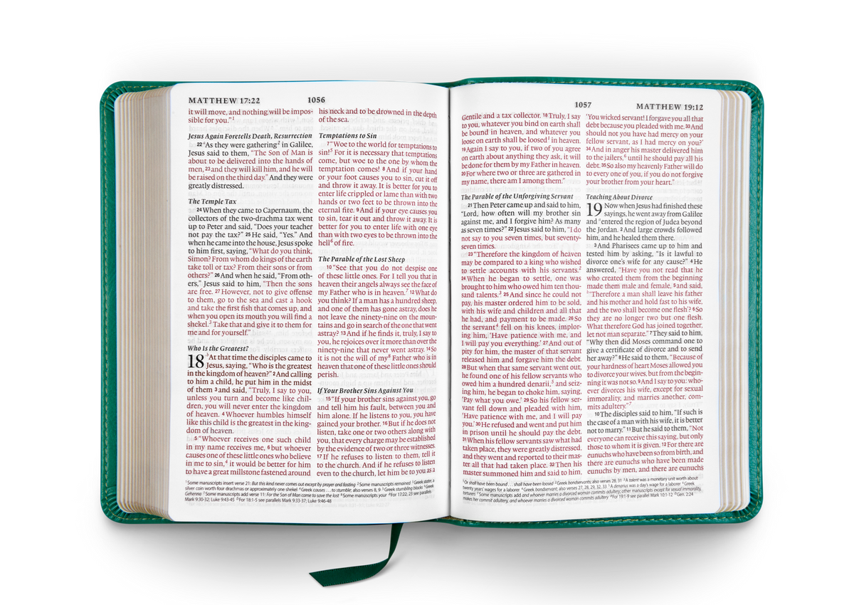 ESV Large Print Compact Bible (TruTone, Teal, Bouquet Design)