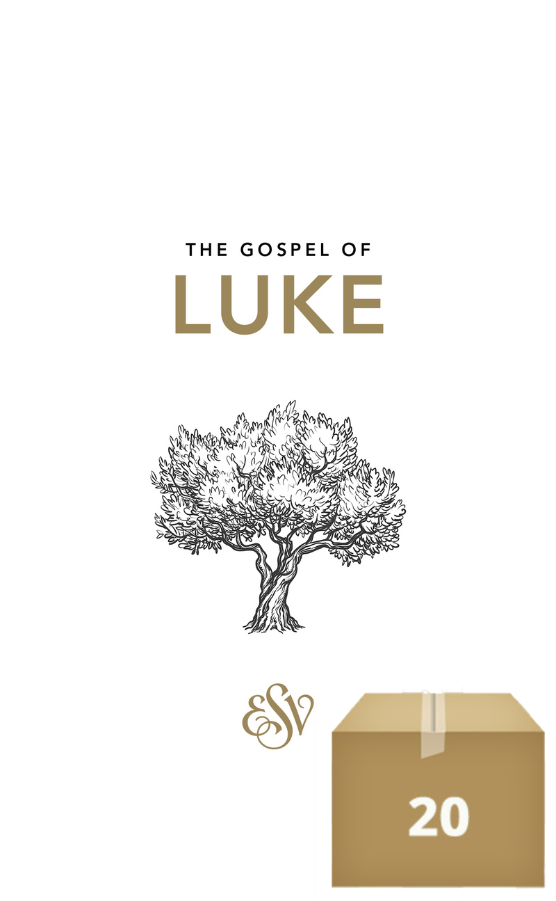 Luke's Gospel (ESV), Case of 20