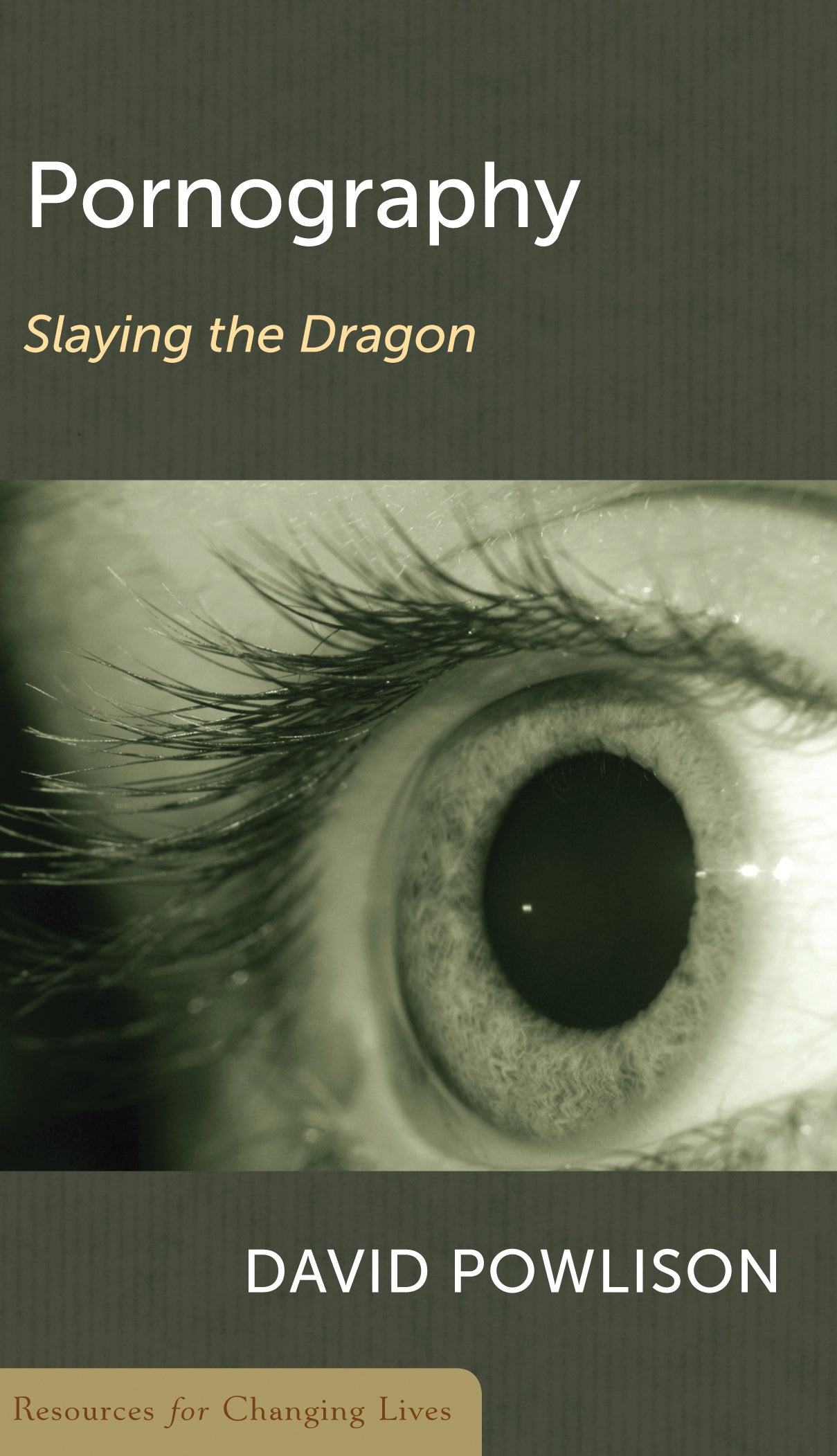 Pornography: Slaying the Dragon (RCL Booklet) (CCEF) (1018186399791)