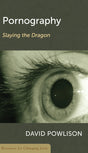 Pornography: Slaying the Dragon (RCL Booklet) (CCEF) (1018186399791)