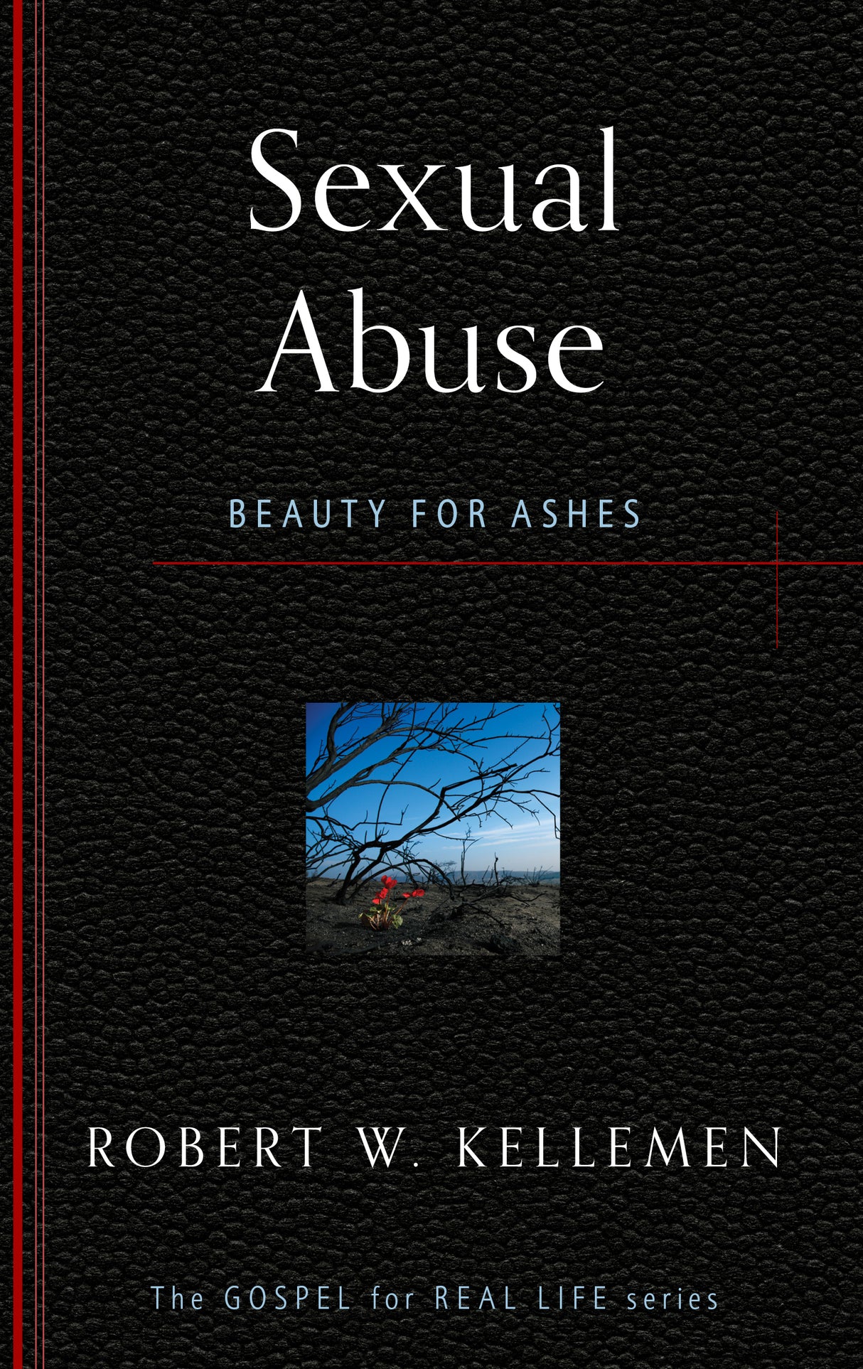 Sexual Abuse: Beauty for Ashes (Gospel for Real Life)
